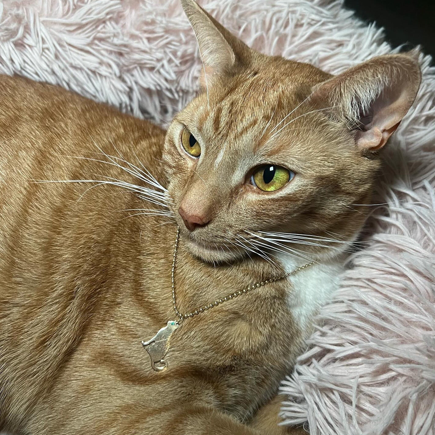 14K Yellow Gold Ball Chain Necklace (2mm)